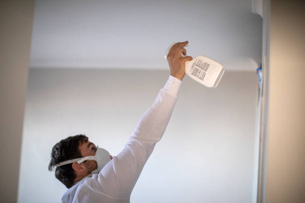 Best Mold Testing  in Six Mile Run, NJ