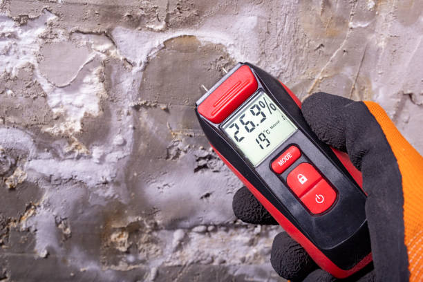 Best Attic Mold Removal  in Six Mile Run, NJ