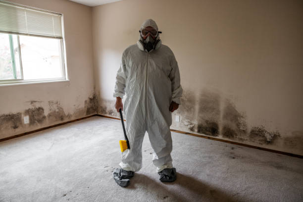 Best Home Mold Removal  in Six Mile Run, NJ